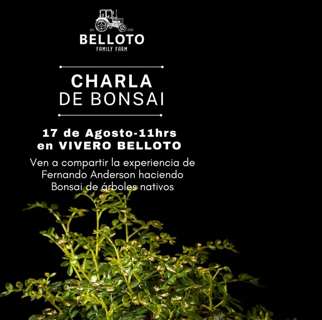 Charla Bonsai