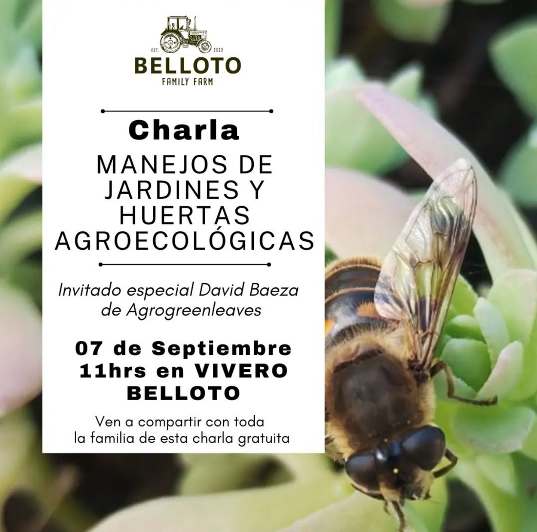 🌿Charla Manejo de jardines y huerta agroecológica 🌿