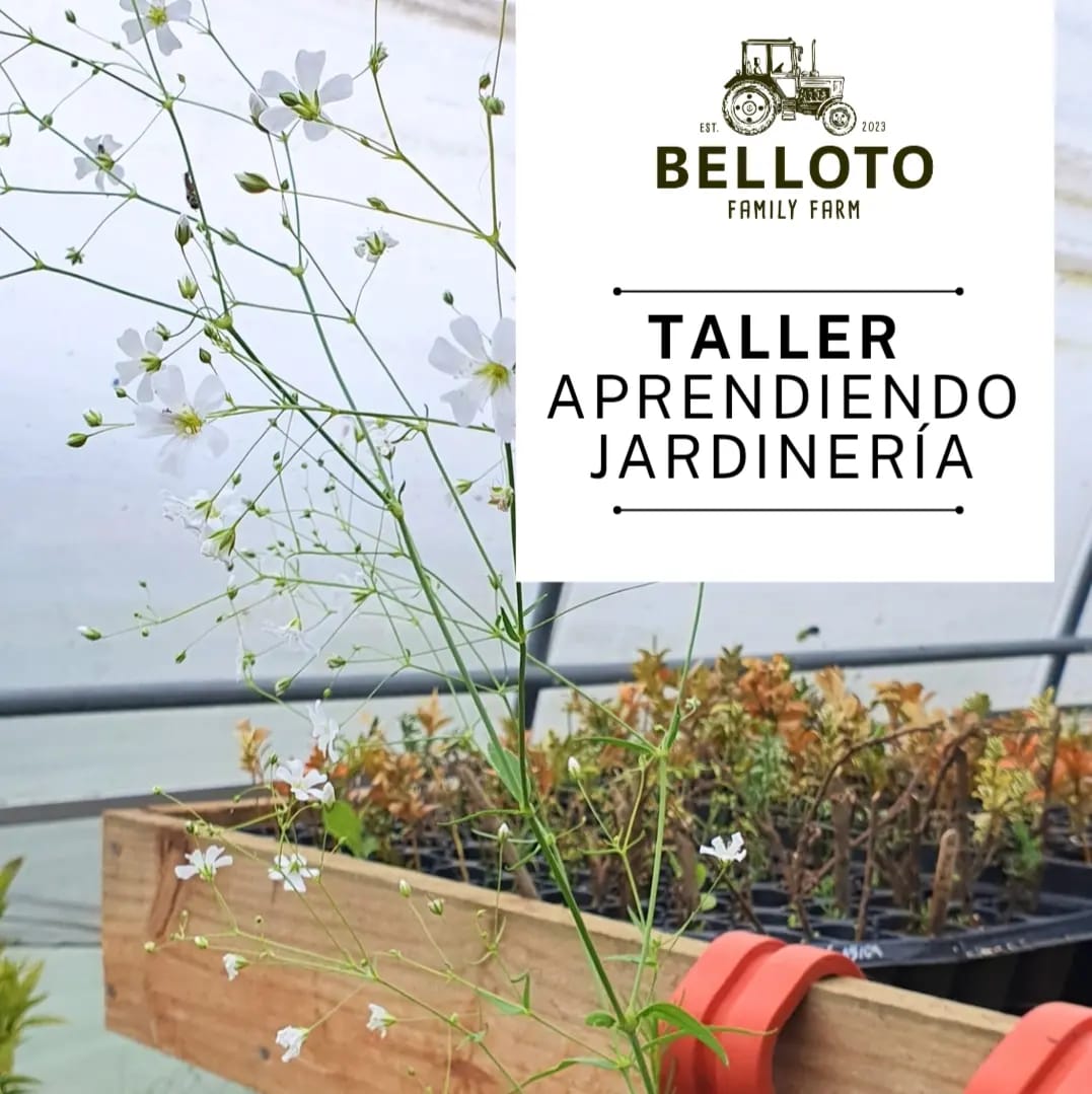 Taller Aprendiendo Jardinería 27 de Julio