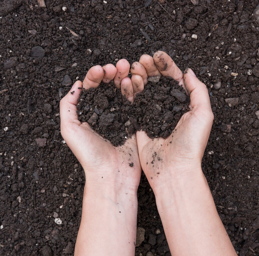 Compost